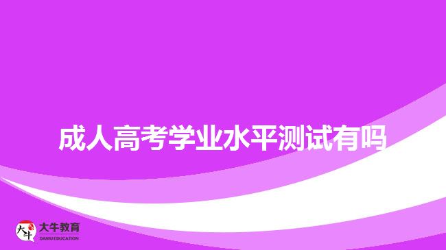 成人高考学业水平测试有吗