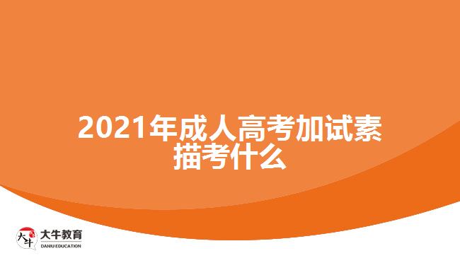 2021年成人高考加试素描考什么