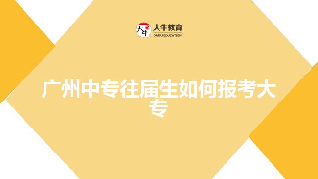 广州中专往届生如何报考大专