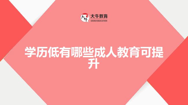 学历低有哪些成人教育可提升