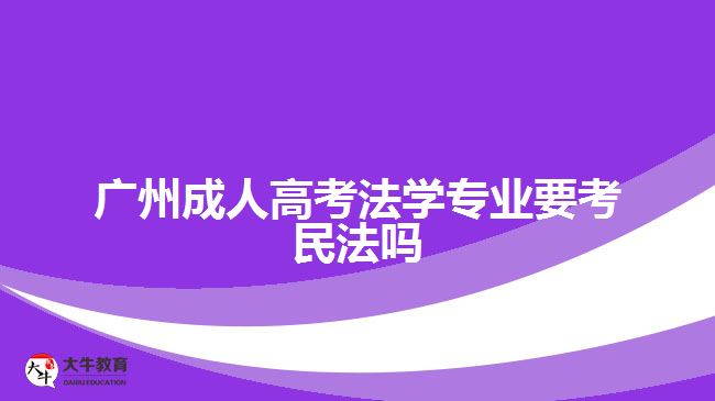 广州成人高考法学专业要考民法吗