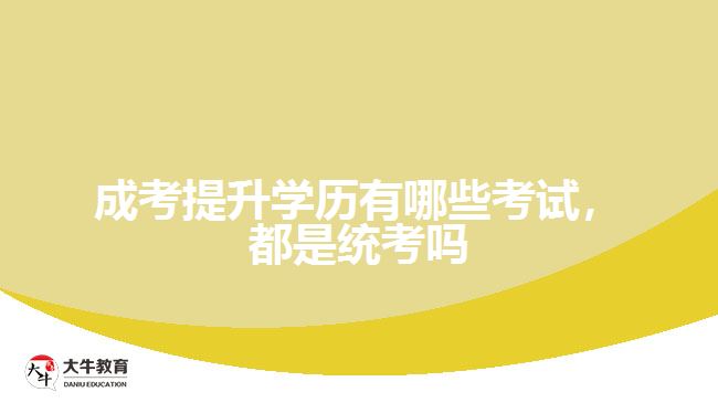 成考提升学历有哪些考试都是统考吗