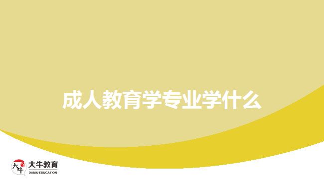 成人教育学专业学什么