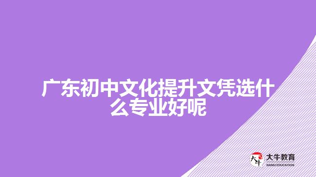 广东初中文化提升文凭选什么专业好呢