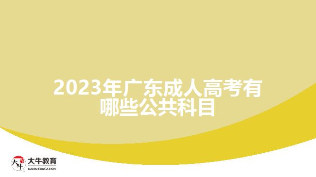 2023年广东成人高考有哪些公共科目