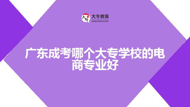 广东成考哪个大专学校的电商专业好